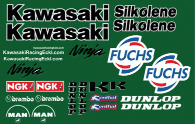 Kawasaki Fuchs 2000 WSB Decal Kit