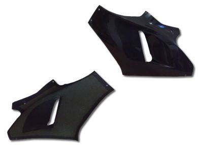 Ducati Desmosedici  Carbon Fibre Fairing - L/H Side Only