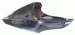 Suzuki GSXR750 K2 / K3  Carbon Fibre Single Seat Unit